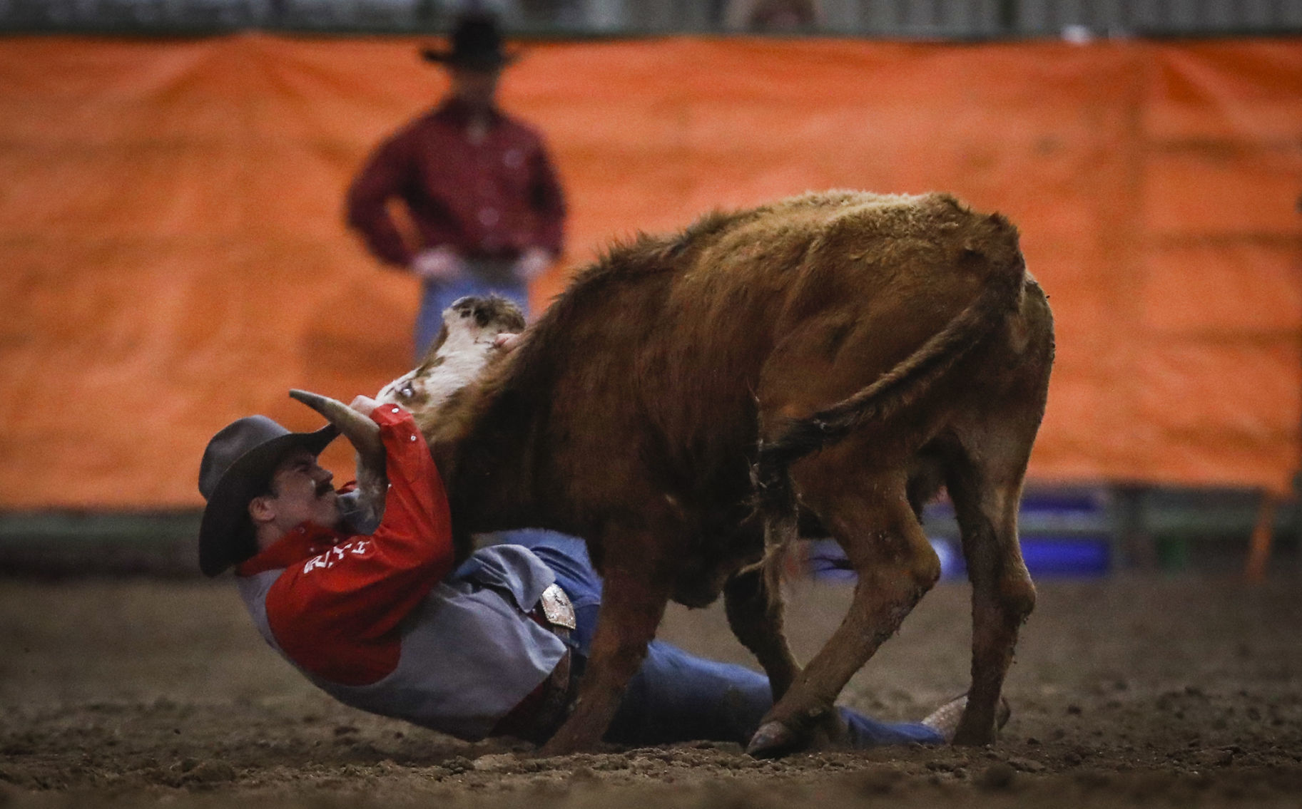Ropin' and Riggin' Days